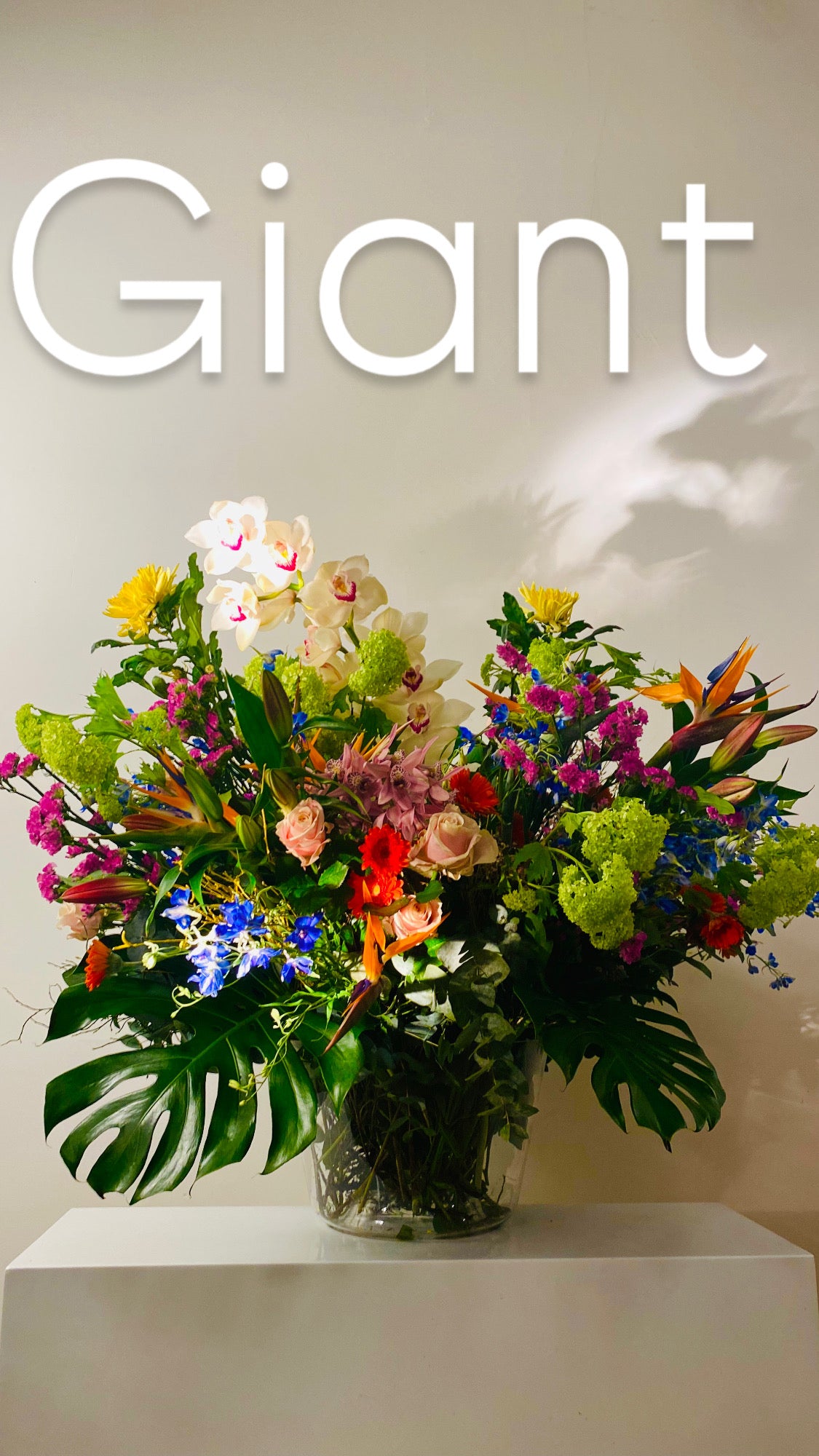 Verse Bloemen