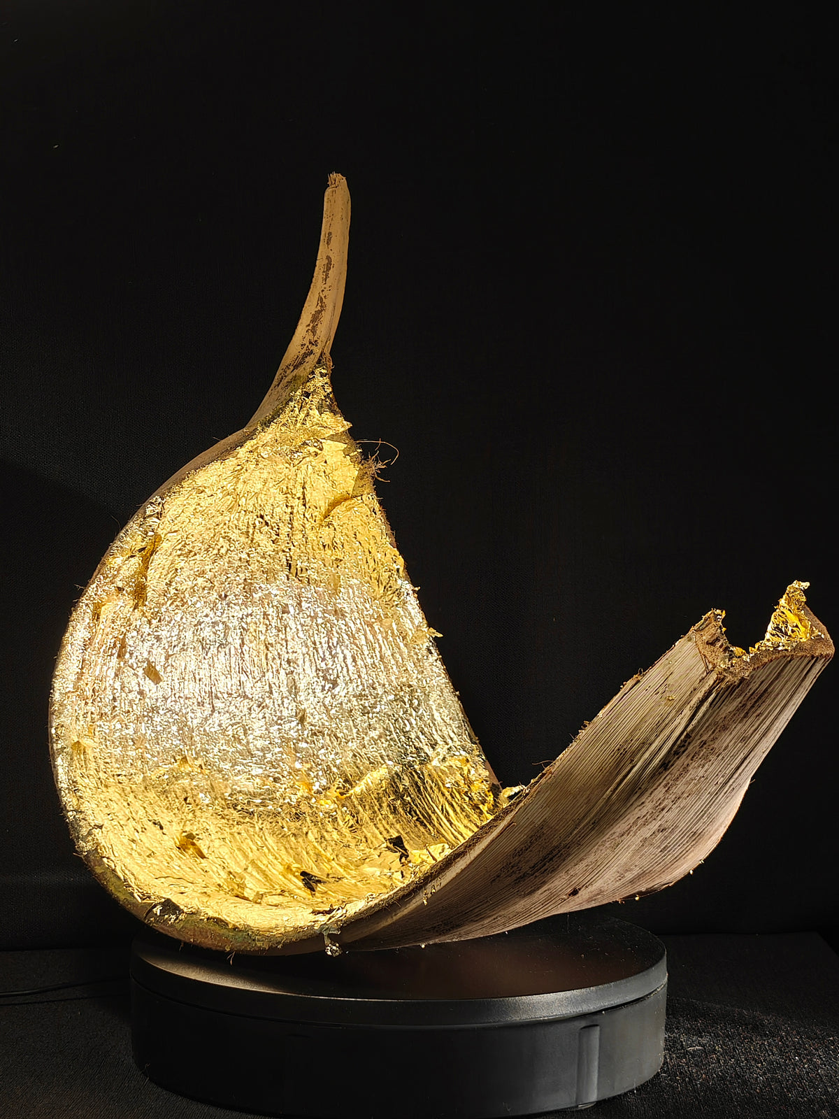 Houten Bananenschil met Gouden schilvers